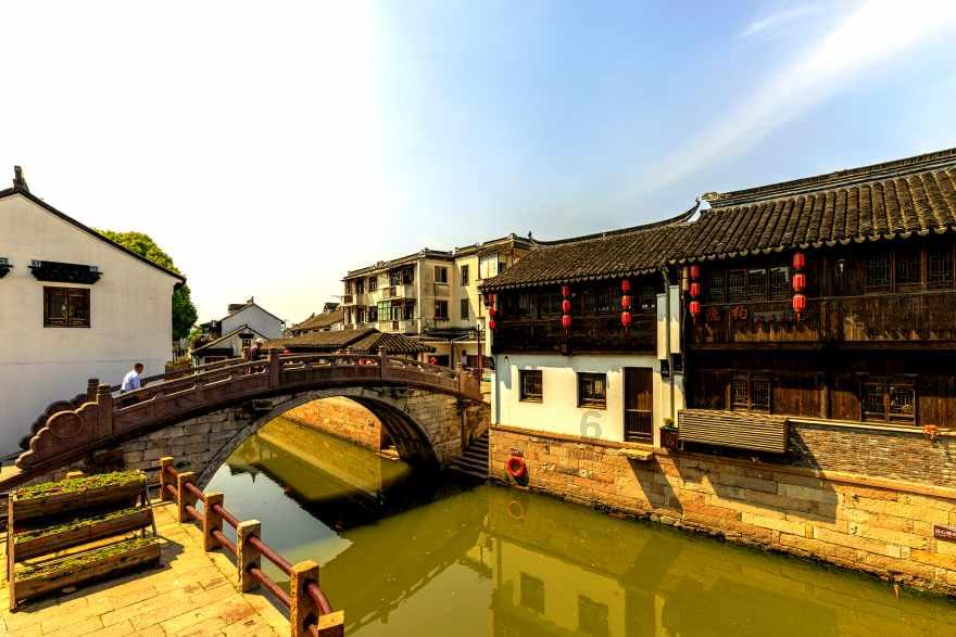 救援可爱小松鼠